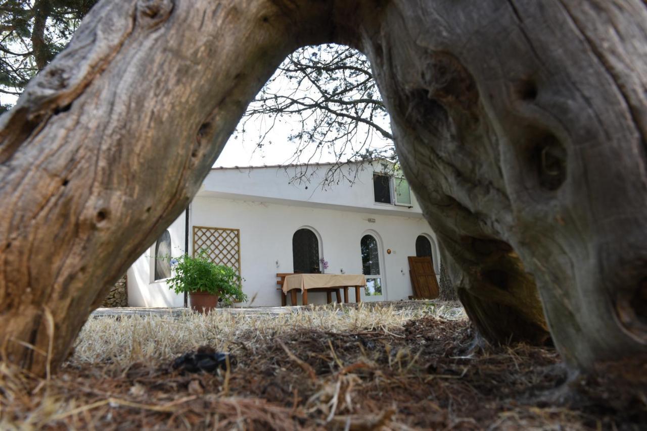 B&B Parco Del Lamione Gioia Del Colle Kültér fotó